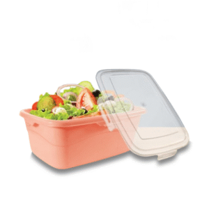 Food Master Container | Airtight Plastic Food Storage